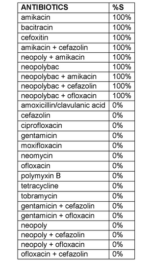 Streptococcus agalactiae